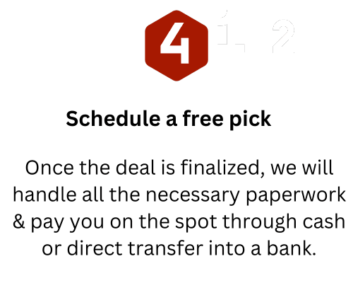 Untitled 500 x 500 px 500 x 300 px 500 x 400 px 3